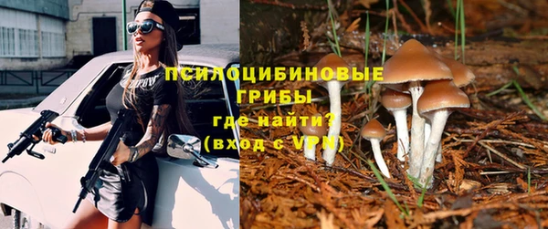 СК Майский