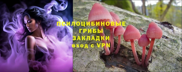 ПСИЛОЦИБИНОВЫЕ ГРИБЫ Лихославль
