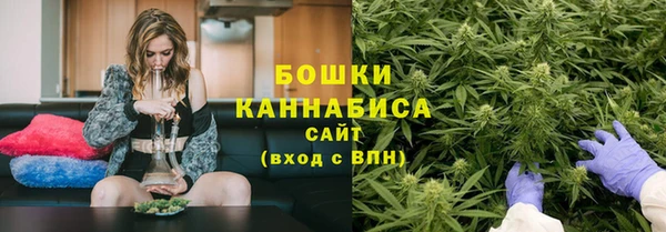 ПСИЛОЦИБИНОВЫЕ ГРИБЫ Лихославль