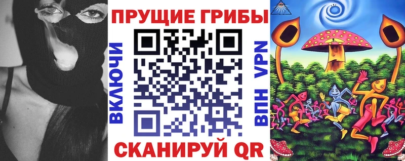 площадка официальный сайт Юхнов Псилоцибиновые грибы GOLDEN TEACHER